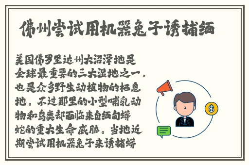 梅开二度公园当着孩子的面