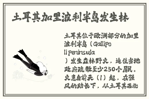 公园里的老年镖客昌乐县的镖客